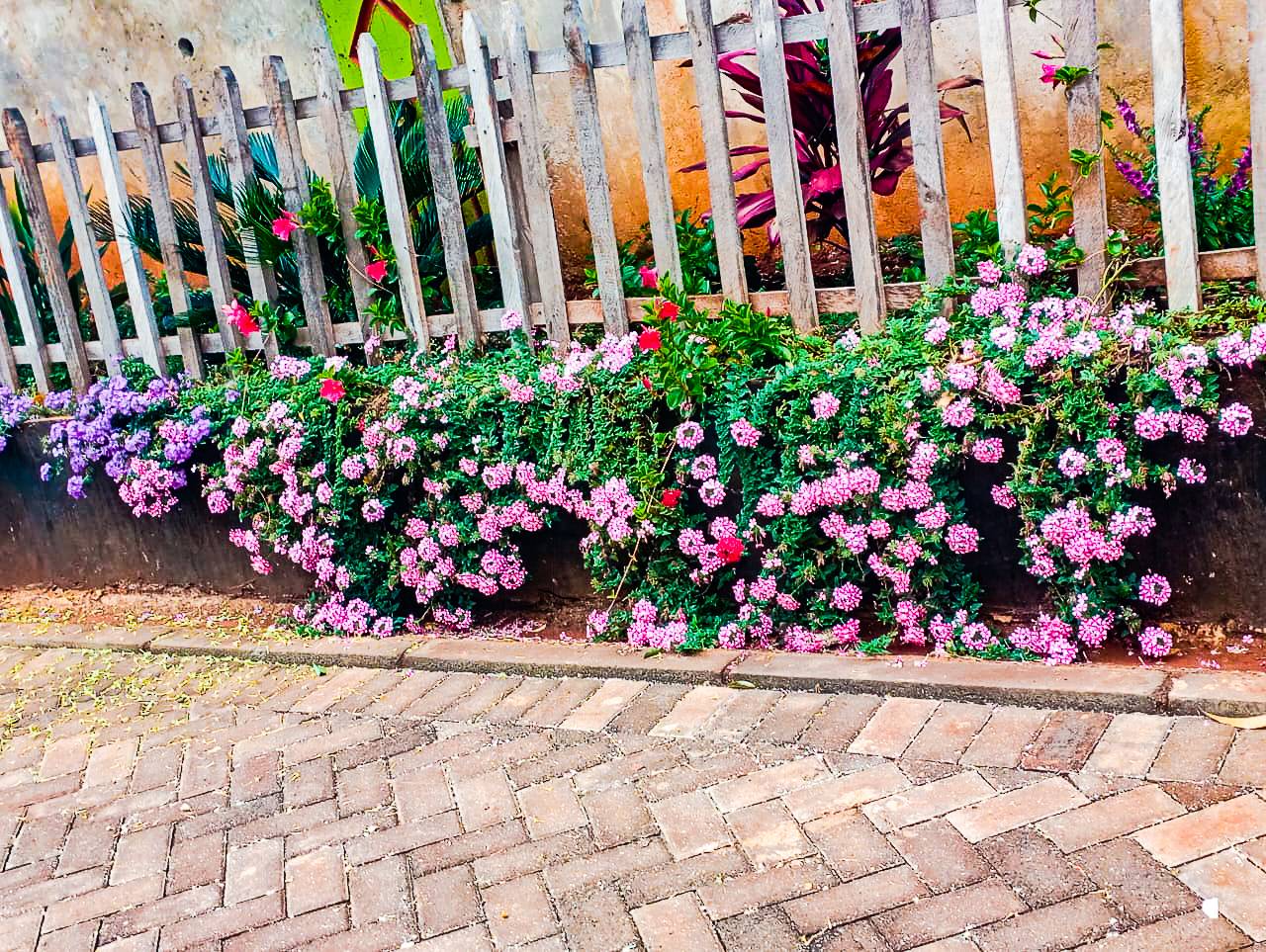 Green Construction: The Future of Sustainable Building in Kenya