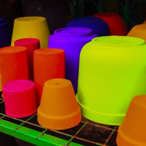 Handcrafted Clay Planters